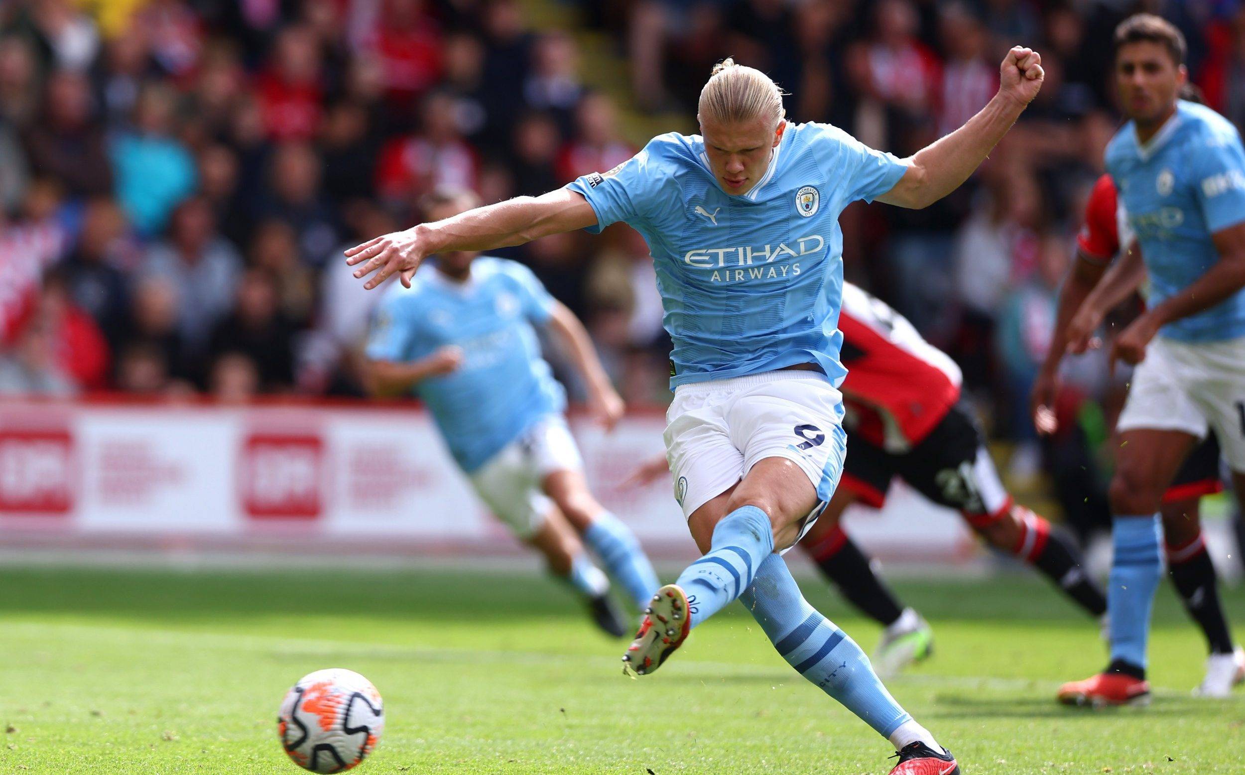 包括合理的 包括合理的